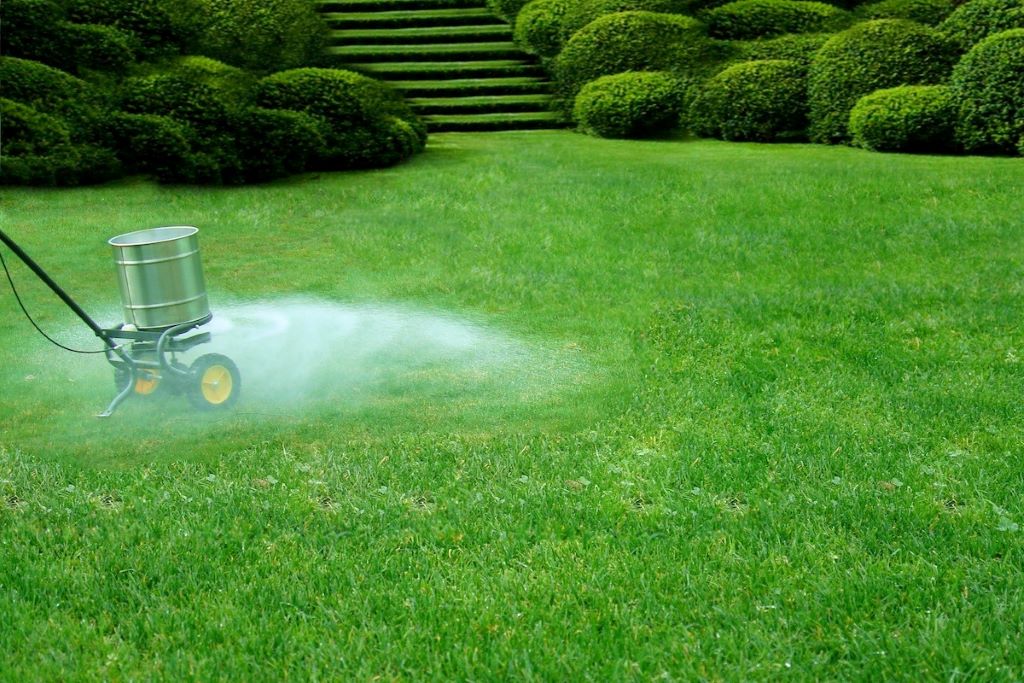 The Ultimate Guide to Winter Lawn Care in Central Florida