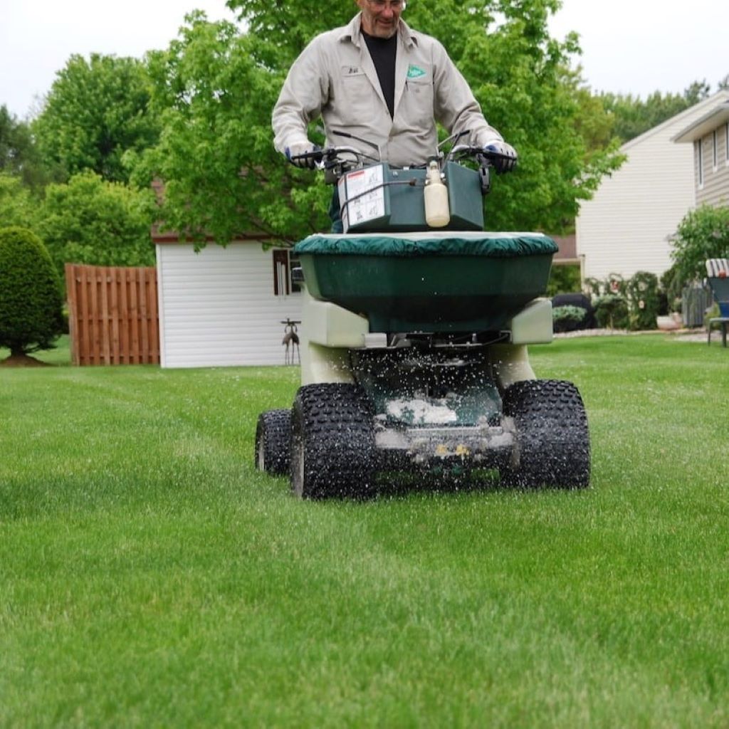 How to Keep Grass Green During Winter in Central Florida