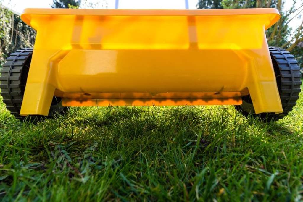 Step-by-Step Guide to Overseeding Without Aerating