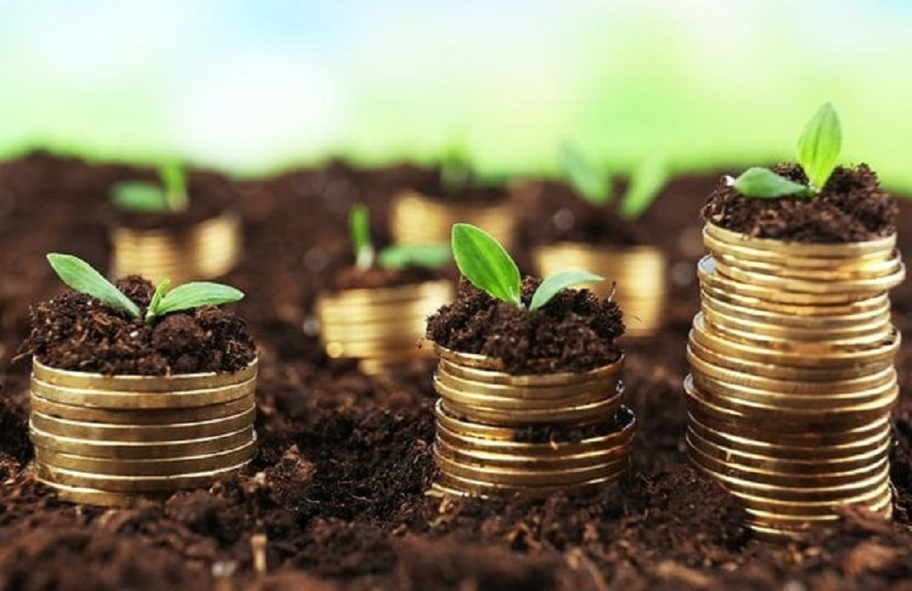 Are alternative investments suitable for beginner investors