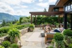 Lush artificial boxwood hedges arranged naturally on a modern sunlit patio deck.